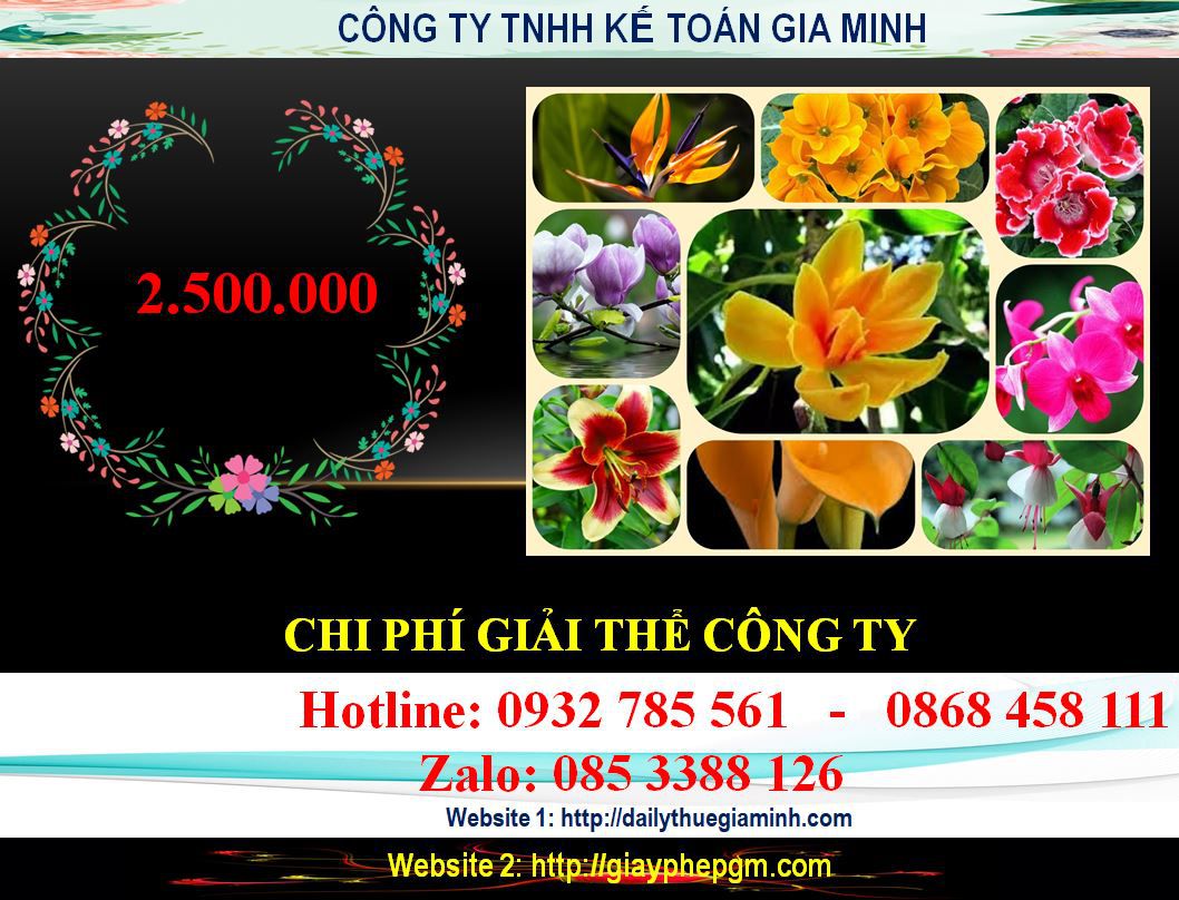 Dịch vụ giải thể chi nhánh tại Ninh Thuận nhanh chóng, uy tín 7 Chi phí giải thể chi nhánh tại Ninh Thuận