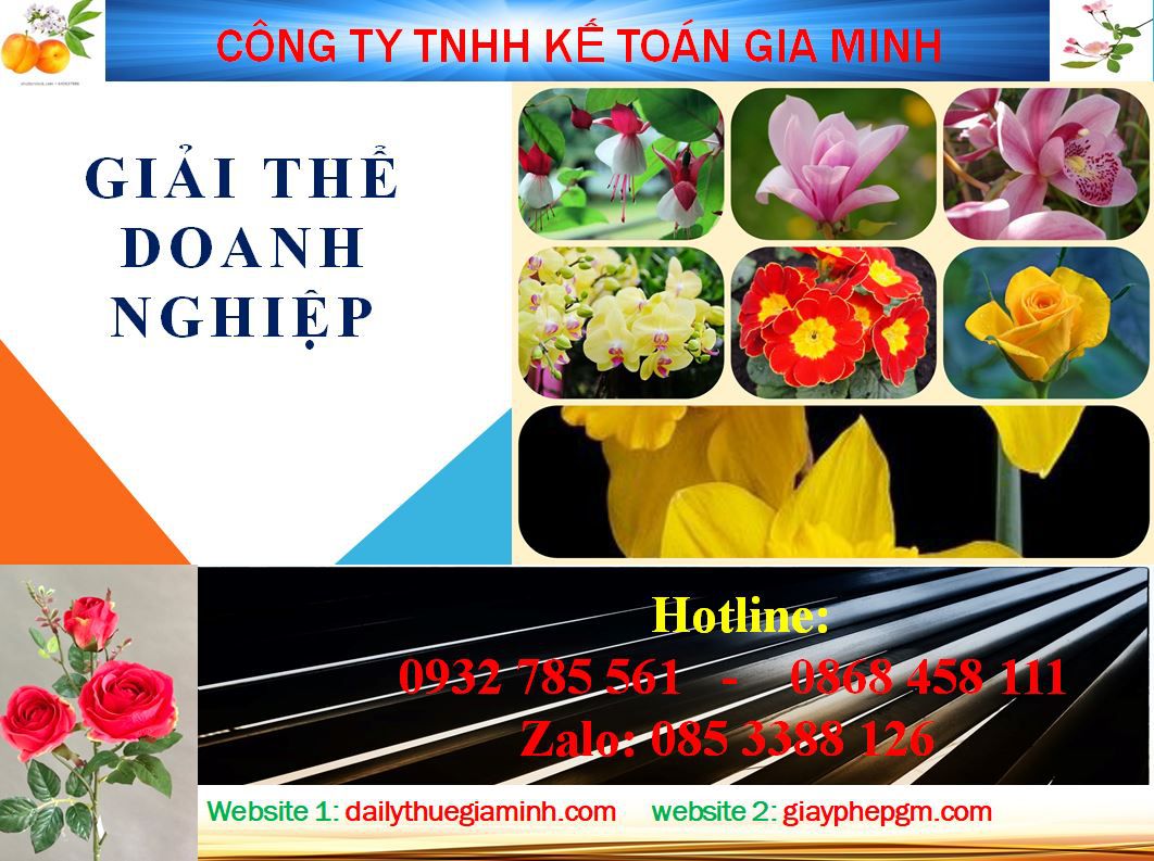 Dịch vụ giải thể chi nhánh tại Quảng Ninh 8 Thủ tục giải thể chi nhánh tại Quảng Ninh