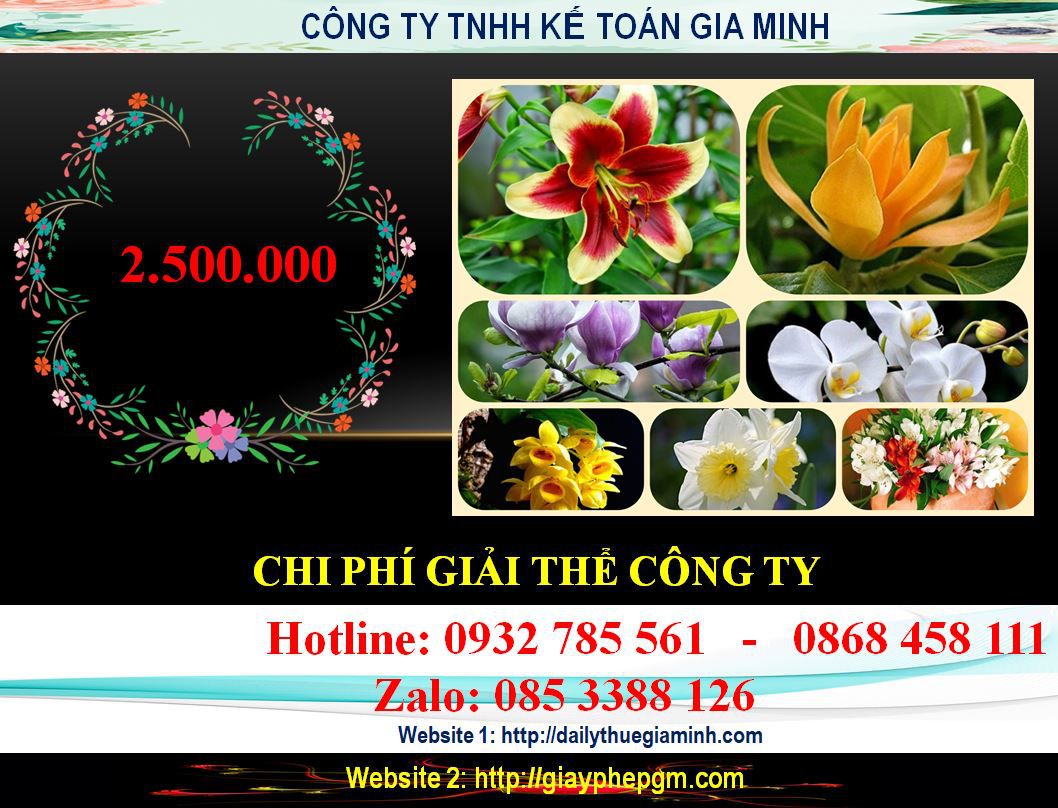 Dịch vụ giải thể chi nhánh tại Quảng Ninh 11 Chi phí giải thể chi nhánh tại Quảng Ninh