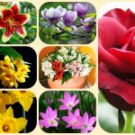 Dịch vụ giải thể chi nhánh tại Sơn La – Uy tín, nhanh chóng và trọn gói 8 Muốn giải thể chi nhánh tại Sơn La