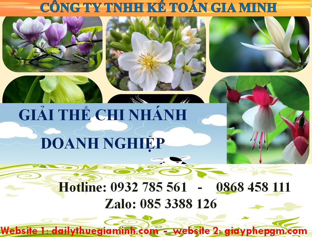 Dịch vụ giải thể chi nhánh tại Sơn La – Uy tín, nhanh chóng và trọn gói 5 Thủ tục giải thể chi nhánh tại Sơn La