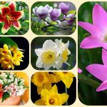 Muốn giải thể chi nhánh tại Thái Nguyên