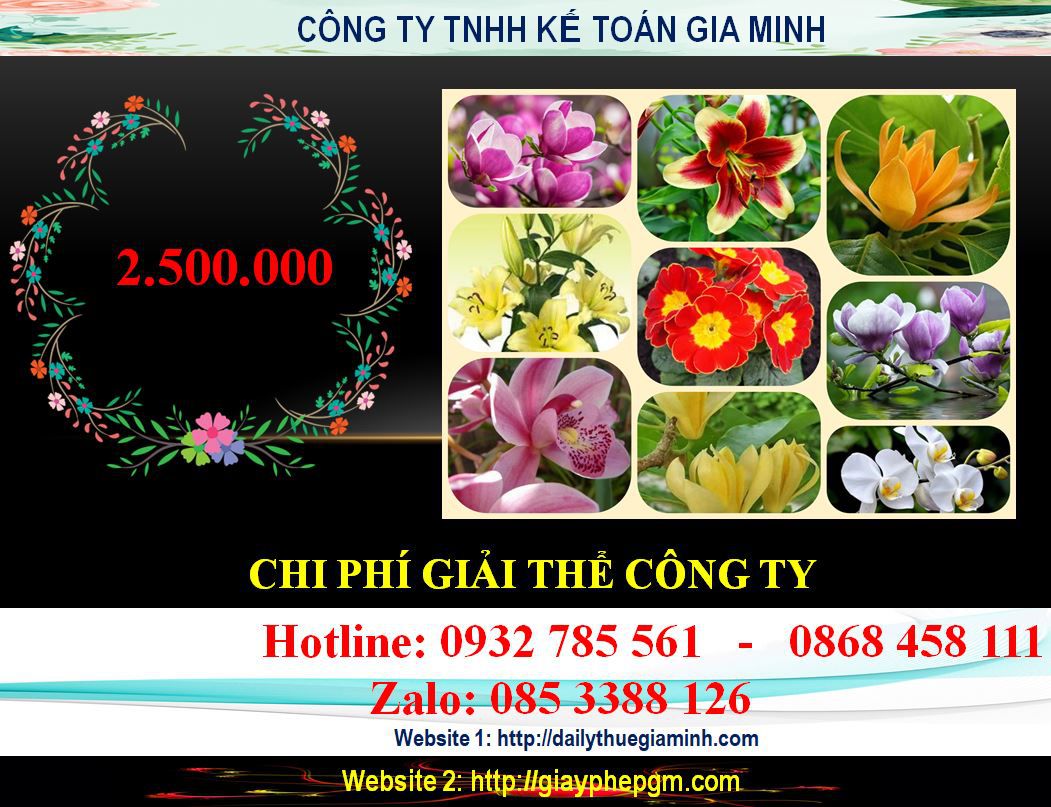 Chi phí giải thể chi nhánh tại Tiền Giang