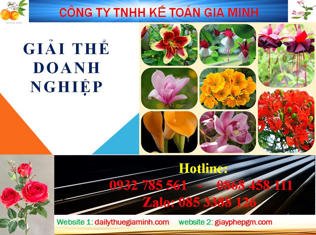 Thủ tục giải thể chi nhánh tại Tiền Giang