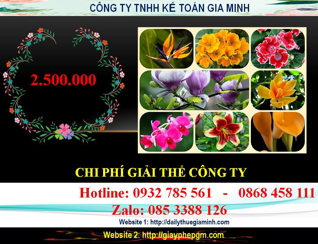 Dịch vụ giải thể chi nhánh tại TPHCM 6 Chi phí giải thể chi nhánh tại TPHCM