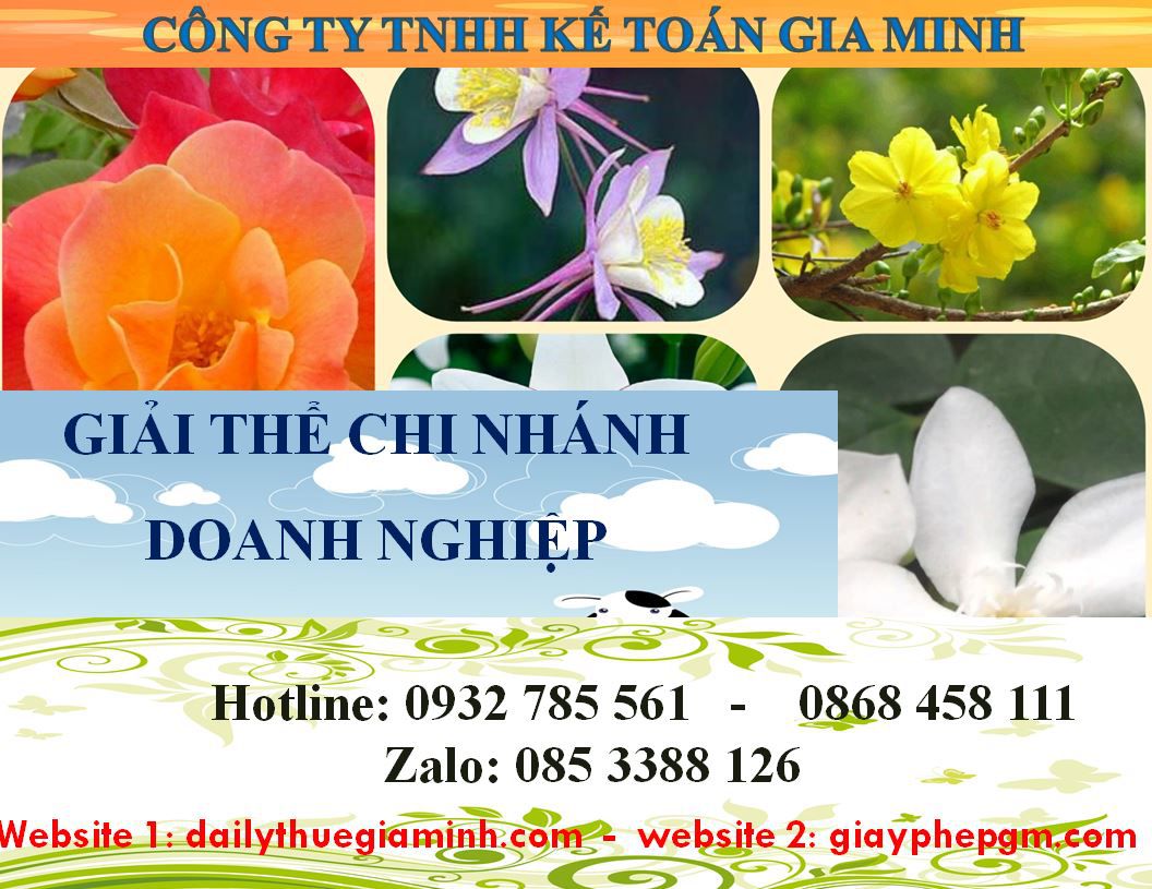 Dịch vụ giải thể chi nhánh tại TPHCM 5 Thủ tục giải thể chi nhánh tại TPHCM