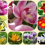 Muốn giải thể chi nhánh tại Trà VinhMuốn giải thể chi nhánh tại Trà Vinh