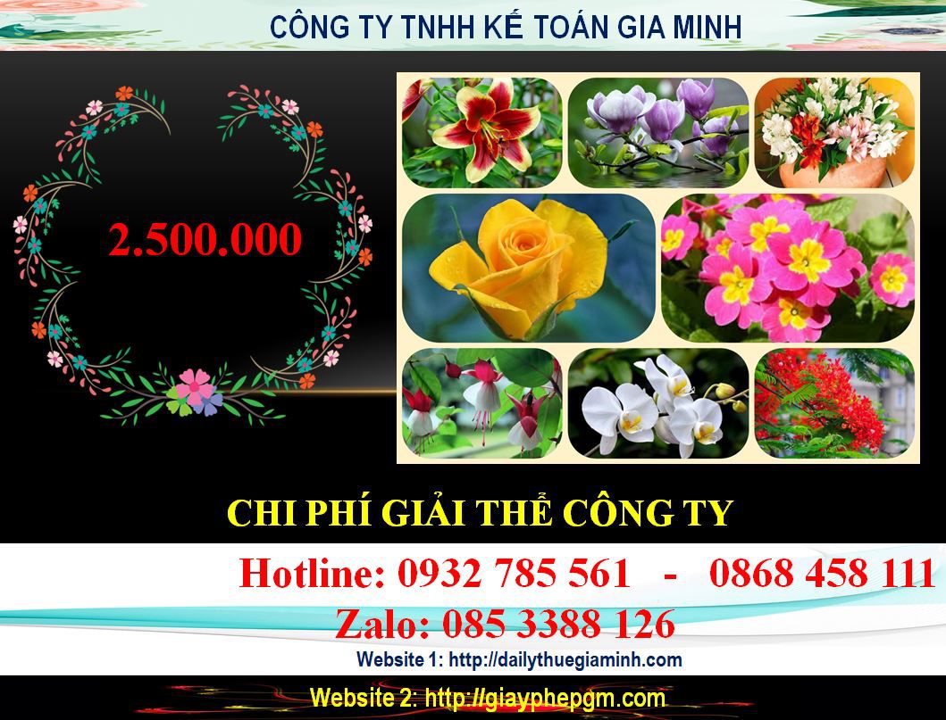 Dịch vụ giải thể chi nhánh tại Trà Vinh 6 Chi phí giải thể chi nhánh tại Trà Vinh
