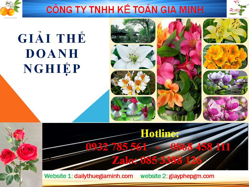 Dịch vụ giải thể chi nhánh tại Trà Vinh 5 Chi phí giải thể chi nhánh tại Trà Vinh