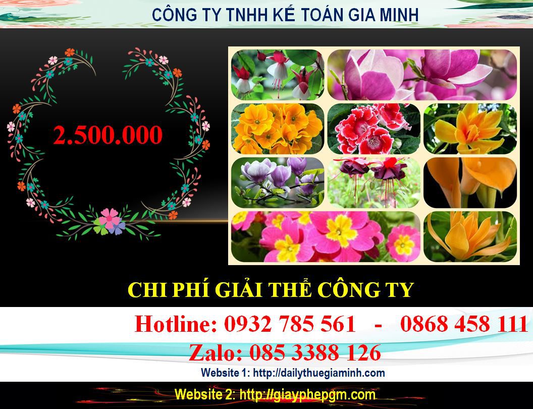 Dịch vụ giải thể chi nhánh tại Vĩnh Phúc 6 Chi phí giải thể chi nhánh tại Vĩnh Phúc