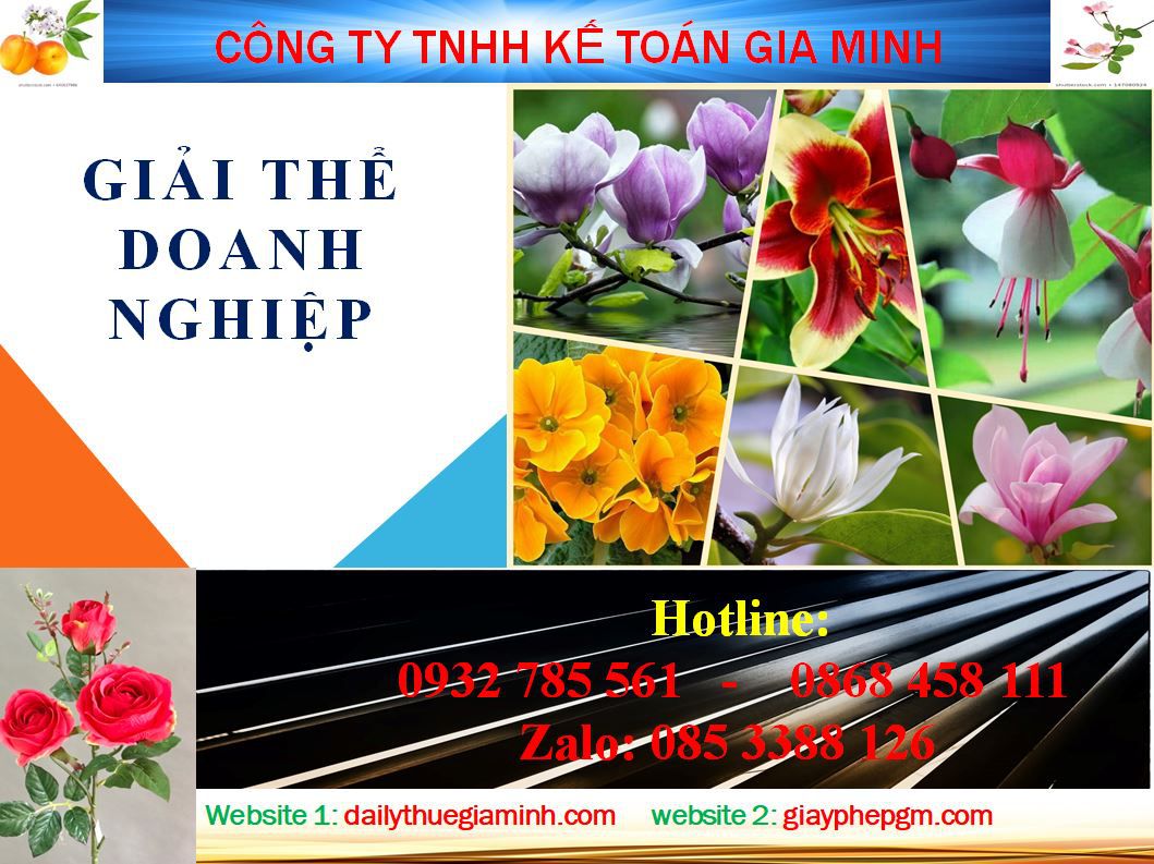 Dịch vụ giải thể chi nhánh tại Vĩnh Phúc 5 Thủ tục giải thể chi nhánh tại Vĩnh Phúc