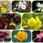 Dịch Vụ Giải Thể Công Ty Cổ Phần Tại Hải Phòng - Quy Trình, Thủ Tục và Lợi Ích 8 Muốn giải thể công ty cổ phần tại Hải Phòng