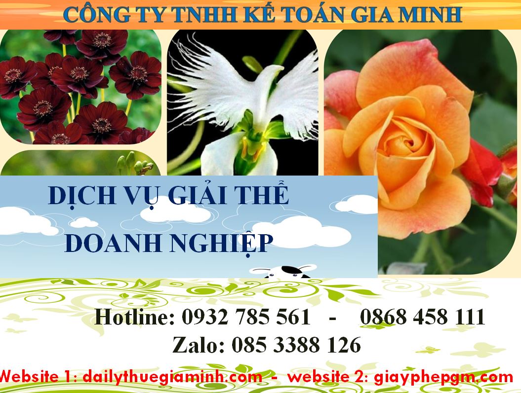 Dịch Vụ Giải Thể Công Ty Cổ Phần Tại Hải Phòng - Quy Trình, Thủ Tục và Lợi Ích 5 Dịch vụ giải thể doanh nghiệp cổ phần tại Hải Phòng