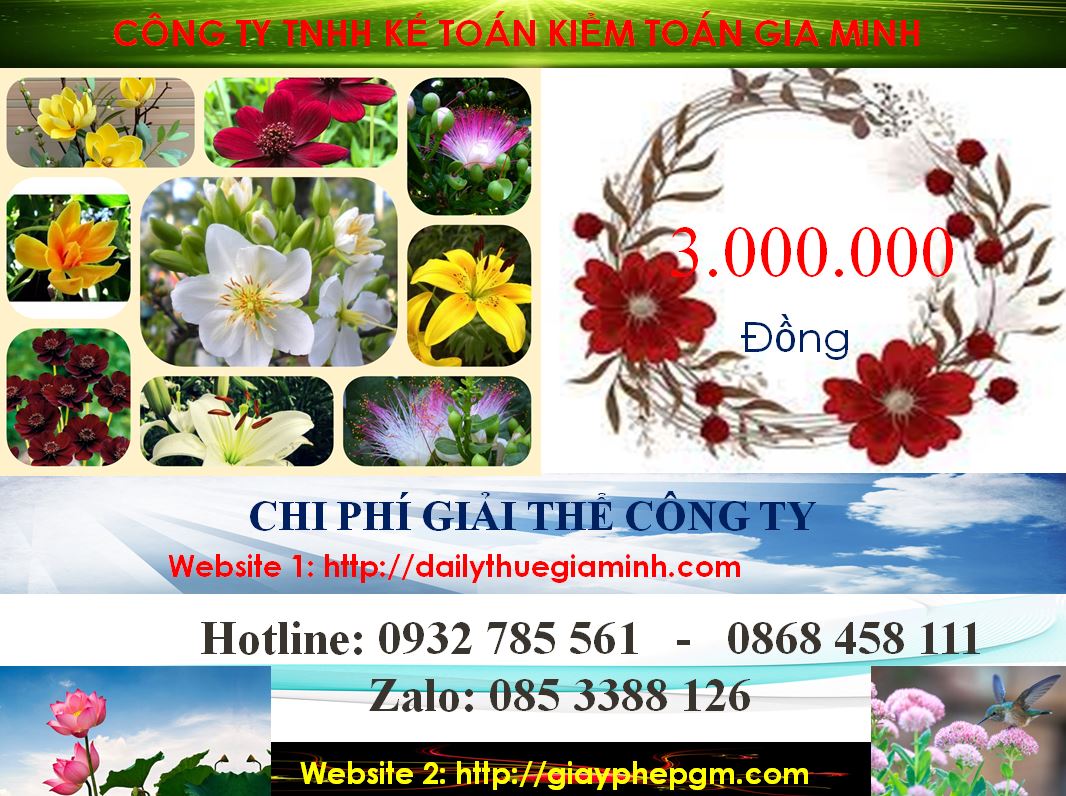 Dịch Vụ Giải Thể Công Ty Cổ Phần Tại Hải Phòng - Quy Trình, Thủ Tục và Lợi Ích 6 Chi phí giải thể doanh nghiệp cổ phần tại Hải Phòng