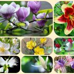 Muốn giải thể công ty cổ phần tại Huyện Bắc Tân Uyên