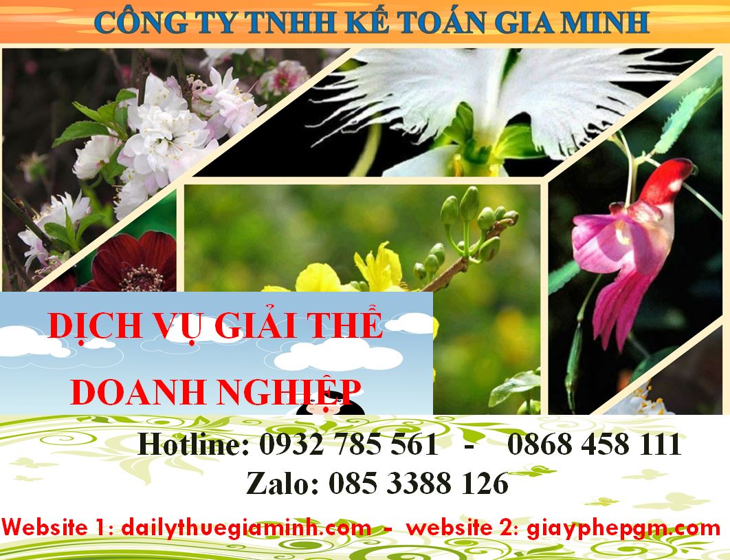 Dịch vụ giải thể doanh nghiệp cổ phần tại Huyện Bắc Tân Uyên