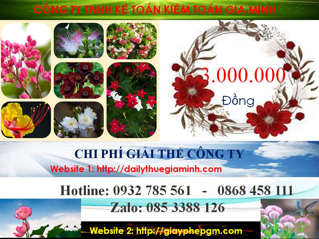 Chi phí giải thể doanh nghiệp cổ phần tại Huyện Bắc Tân Uyên
