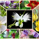 Dịch vụ giải thể công ty cổ phần tại Huyện Bàu Bàng 8 Muốn giải thể công ty cổ phần tại Huyện Bàu Bàng