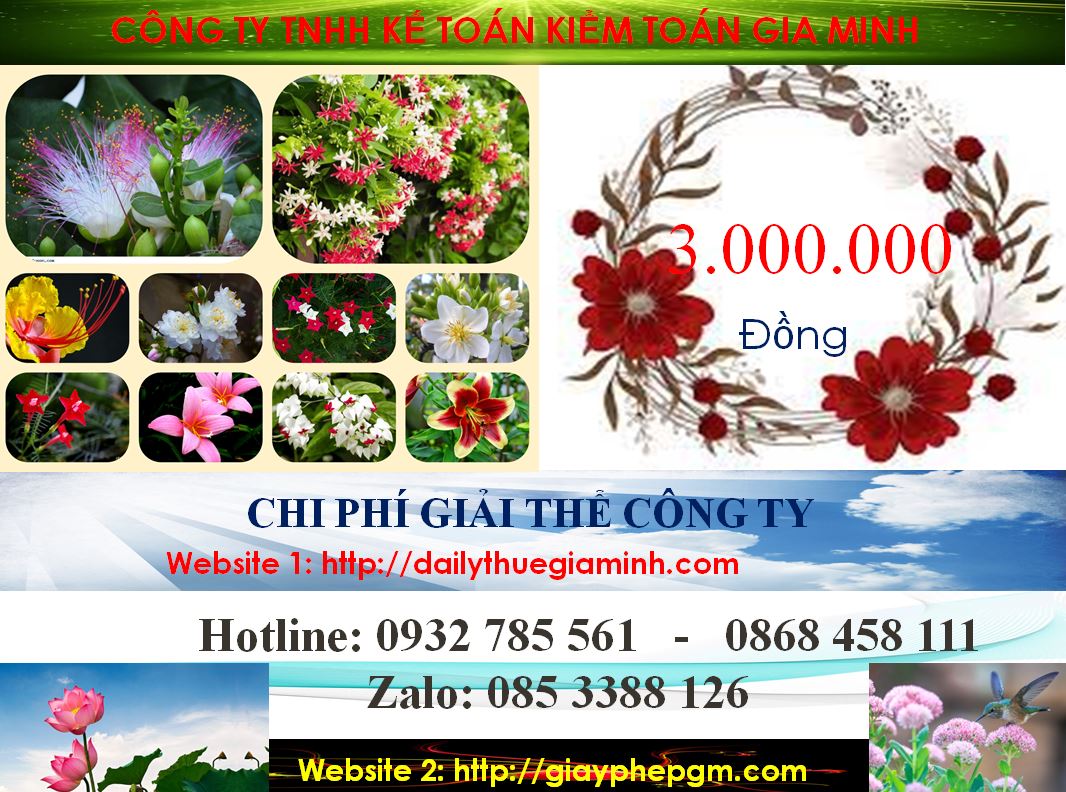 Dịch vụ giải thể công ty cổ phần tại Huyện Bàu Bàng 6 Chi phí giải thể doanh nghiệp cổ phần tại Huyện Bàu Bàng