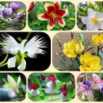 Dịch vụ giải thể công ty cổ phần tại Huyện Dầu Tiếng 8 Muốn giải thể công ty cổ phần tại Huyện Dầu Tiếng