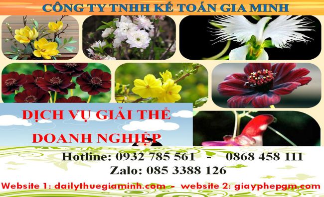 Dịch vụ giải thể công ty cổ phần tại Huyện Dầu Tiếng 5 Dịch vụ giải thể doanh nghiệp cổ phần tại Huyện Dầu Tiếng