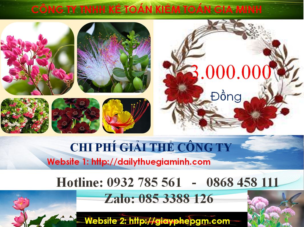 Dịch vụ giải thể công ty cổ phần tại Huyện Dầu Tiếng 6 Chi phí giải thể doanh nghiệp cổ phần tại Huyện Dầu Tiếng
