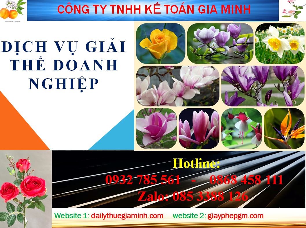 Dịch vụ giải thể công ty cổ phần tại Huyện Phú Giáo 5 Dịch vụ giải thể doanh nghiệp cổ phần tại Huyện Phú Giáo