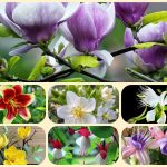 Dịch vụ giải thể công ty cổ phần tại Huyện Phú Giáo 8 Muốn giải thể công ty cổ phần tại Huyện Phú Giáo