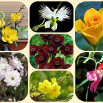 Giải Thể Công Ty Cổ Phần Tại Kiên Giang: Dịch Vụ, Chi Phí và Lợi Ích 8 Muốn giải thể công ty cổ phần tại Kiên Giang