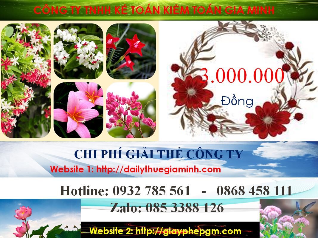 Giải Thể Công Ty Cổ Phần Tại Kiên Giang: Dịch Vụ, Chi Phí và Lợi Ích 6 Chi phí giải thể doanh nghiệp cổ phần tại Kiên Giang
