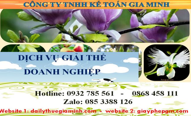 Dịch vụ giải thể công ty cổ phần tại Lạng Sơn 4 Kinh nghiệm giải thể công ty cổ phần tại Lạng Sơn
