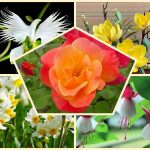 Dịch vụ giải thể công ty cổ phần tại Thành phố Hà Nội 8 Muốn giải thể công ty cổ phần tại Thành phố Hà Nội