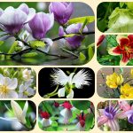 Muốn giải thể công ty cổ phần tại Thành phố Thủ Dầu Một