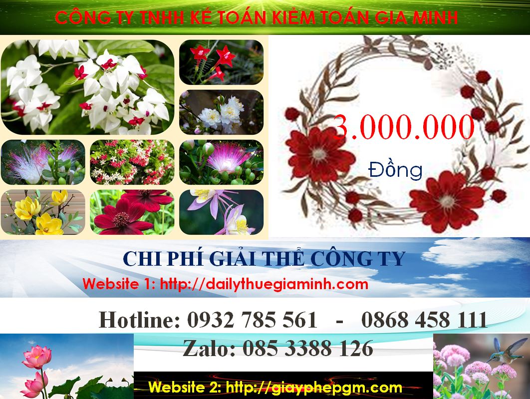 Dịch vụ giải thể doanh nghiệp cổ phần tại Thành phố Thủ Dầu Một