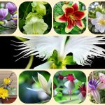 Muốn giải thể công ty cổ phần tại Thị xã Bến Cát
