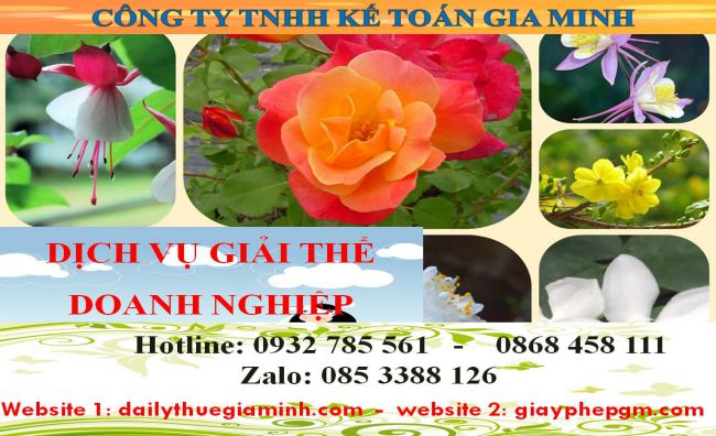  Dịch vụ giải thể doanh nghiệp cổ phần tại Thị xã Bến Cát