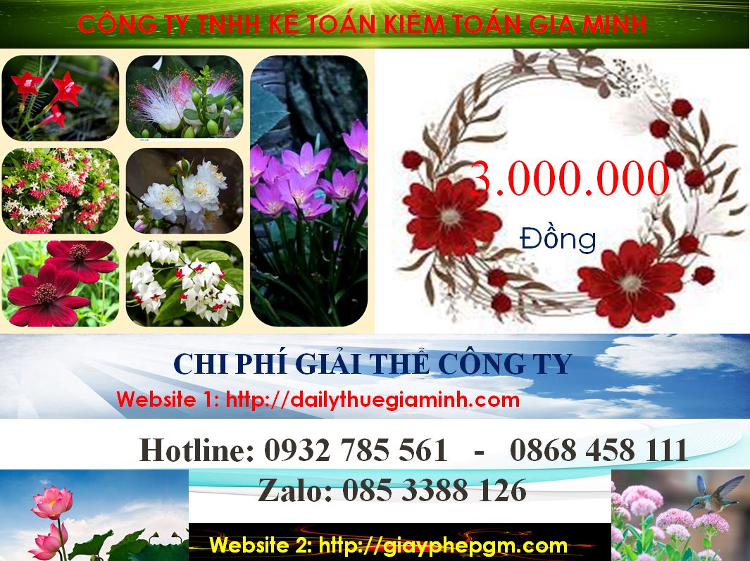 Chi phí giải thể doanh nghiệp cổ phần tại Thị xã Bến Cát