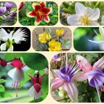 Dịch vụ giải thể công ty cổ phần tại Thị xã Dĩ An 8 Muốn giải thể công ty cổ phần tại Thị xã Dĩ An