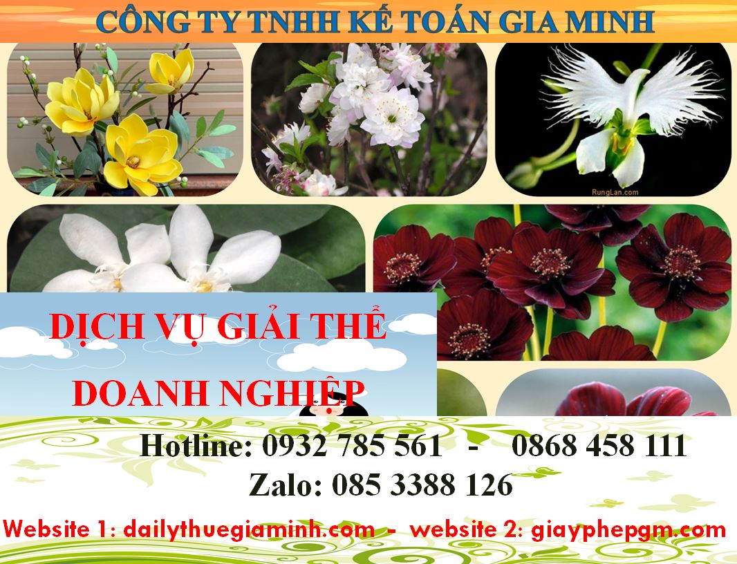 Dịch vụ giải thể công ty cổ phần tại Thị xã Dĩ An 5 Dịch vụ giải thể doanh nghiệp cổ phần tại Thị xã Dĩ An