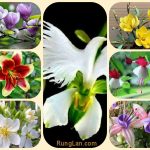 Muốn giải thể doanh nghiệp cổ phần tại Thị xã Tân Uyên