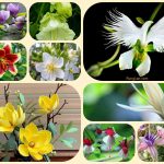 Muốn giải thể công ty cổ phần tại Thị xã Thuận An