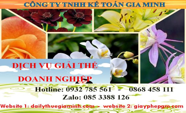 Dịch vụ giải thể doanh nghiệp cổ phần tại Thị xã Thuận An