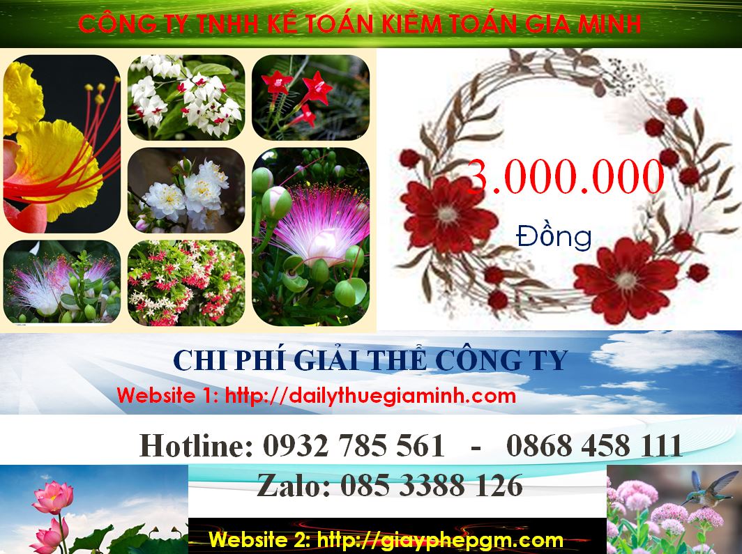 Chi phí giải thể doanh nghiệp cổ phần tại Thị xã Thuận An