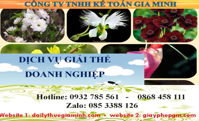 Dịch vụ giải thể công ty cổ phần tại Tiền Giang 5 Dịch vụ giải thể doanh nghiệp cổ phần tại Tiền Giang