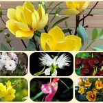 Dịch vụ giải thể công ty cổ phần tại Tiền Giang 8 Muốn giải thể công ty cổ phần tại Tiền Giang