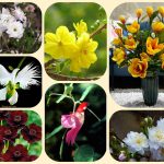 Dịch vụ giải thể công ty cổ phần tại Trà Vinh 14 Muốn giải thể công ty cổ phần tại Trà Vinh
