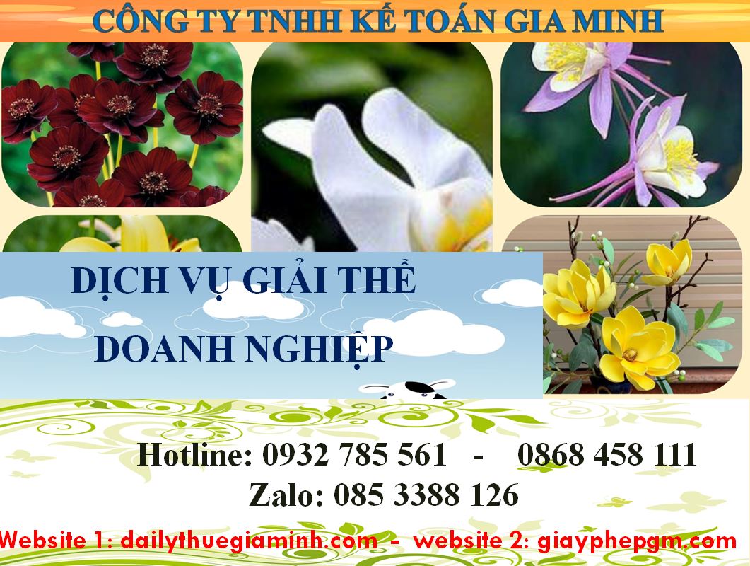 Dịch vụ giải thể công ty cổ phần tại Trà Vinh 8 Dịch vụ giải thể doanh nghiệp cổ phần tại Trà Vinh