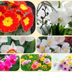 Muốn giải thể công ty ở Hà Tĩnh