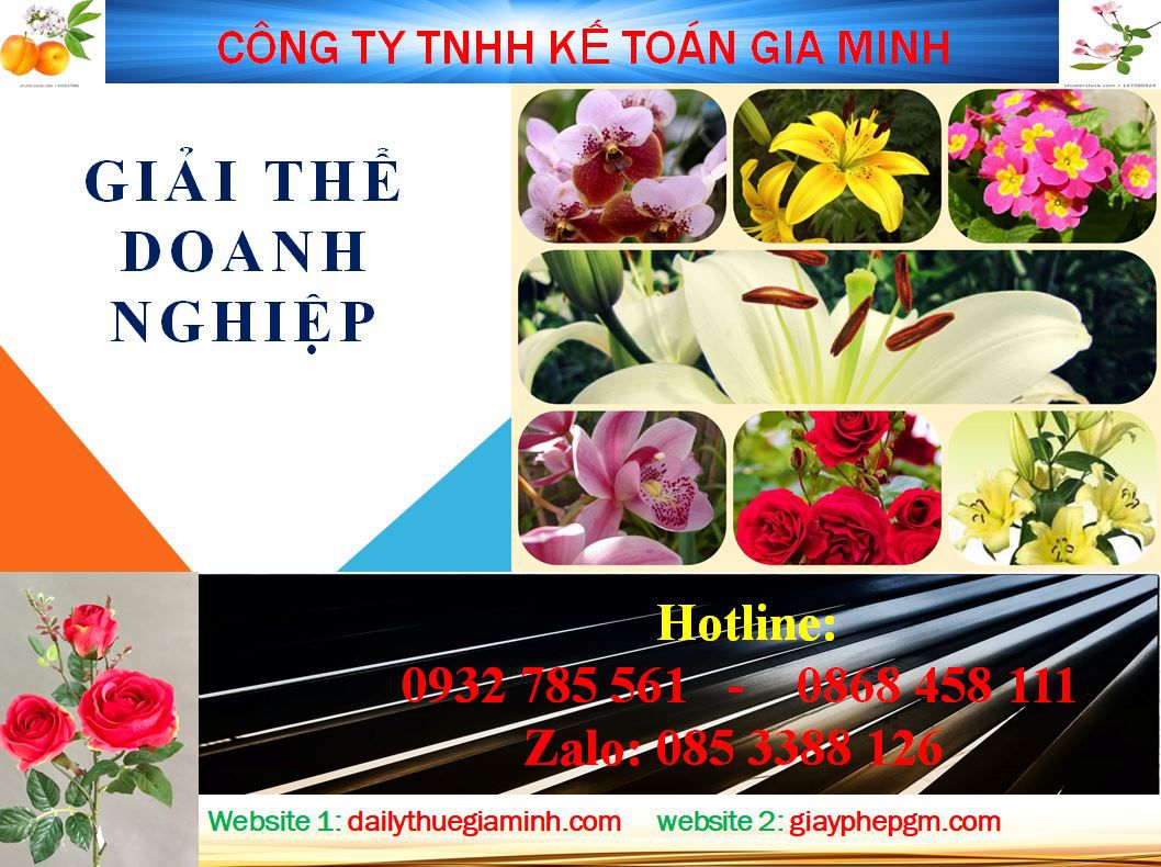Dịch vụ giải thể công ty ở Hải Phòng - Uy tín, nhanh chóng, chuyên nghiệp 4 Thủ tục giải thể công ty ở Hải Phòng