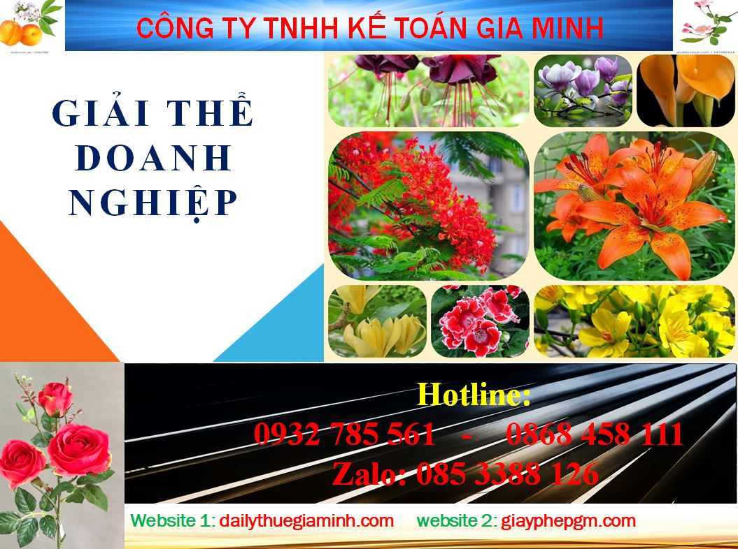 Thủ tục giải thể công ty ở Hoà Bình